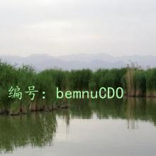 ɱ